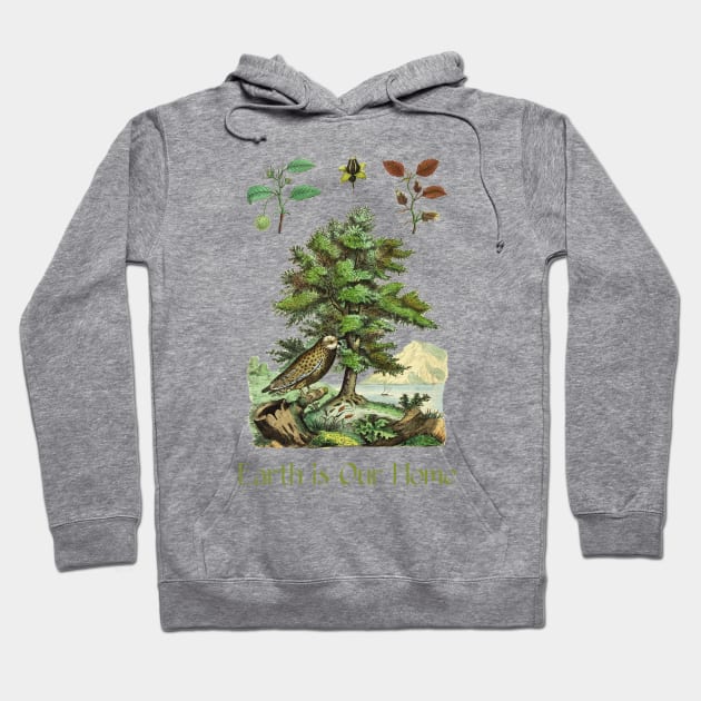 Nature Illustration & Quote Hoodie by Biophilia